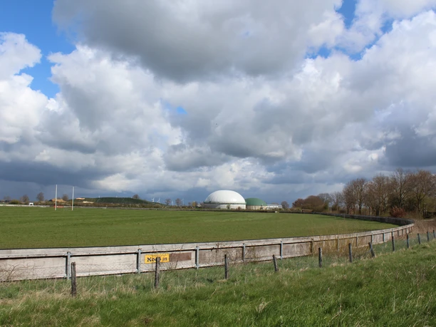 Grüne Wiese mit blauen Wolken und sichtbarer Rennbahn, umgeben von Bäumen und Biogasanlage.