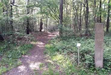 Verler Kirchwege Ein schmaler Waldpfad führt durch einen dichten Laubwald, flankiert von einem Gedenkstein am Wegesrand.