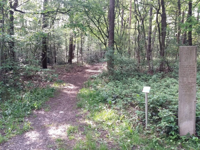 Verler Kirchwege Ein schmaler Waldpfad führt durch einen dichten Laubwald, flankiert von einem Gedenkstein am Wegesrand.