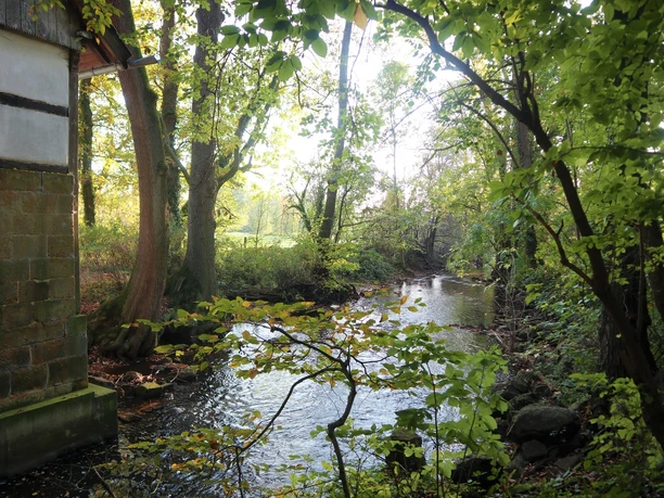 Ölbach an der Bunten Mühle Bach fließt durch einen bewaldeten Bereich, links ein Fachwerkhaus, Bäume leuchten im Sonnenlicht.