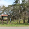 Beschilderter Eingangsbereich zu einem archäologischen Grabhügelfeld mit umliegenden Bäumen und Wald.