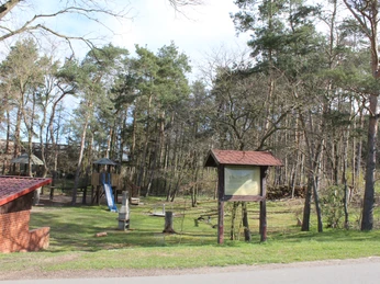 Ein Spielplatz mit Rutsche und Schaukeln, umgeben von hohen Bäumen und einer Holzhütte.