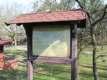 Grabhügelfeld Calle Holztafel mit Informationen vor urgeschichtlichem Grabhügelfeld im bewaldeten Gebiet von Calle.