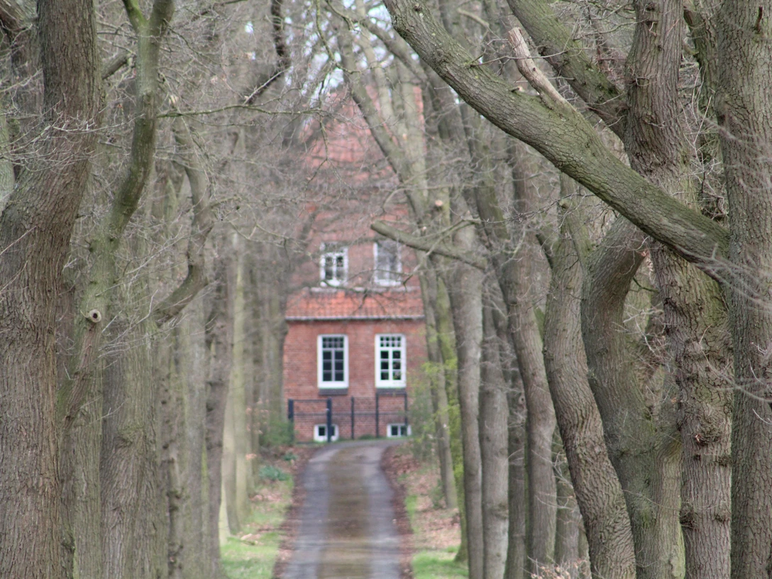 Ein Pfad führt durch eine Allee hoher Bäume direkt zu einem Backsteingebäude mit roten Dachziegeln.