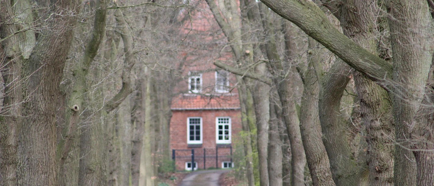 Ein Pfad führt durch eine Allee hoher Bäume direkt zu einem Backsteingebäude mit roten Dachziegeln.