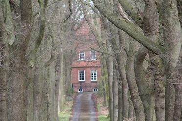 Wassermühle Hohnhorst Ein Pfad führt durch eine Allee hoher Bäume direkt zu einem Backsteingebäude mit roten Dachziegeln.