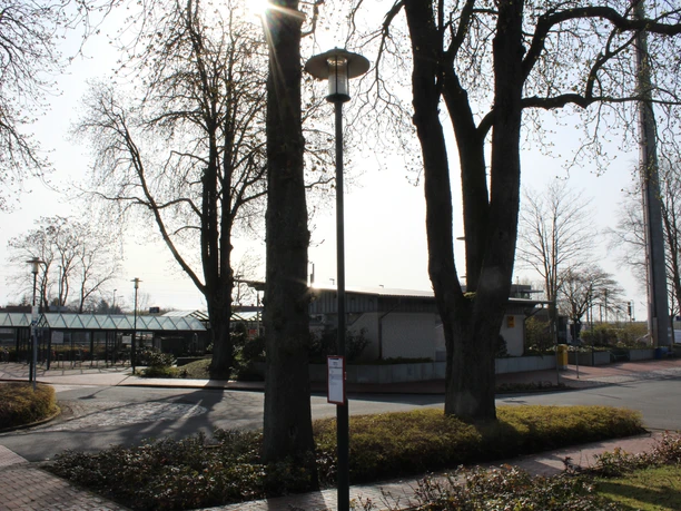 Bahnhof Eystrup Bahnhof Eystrup mit markanten Bäumen im Vordergrund und Gleisanlagen im Hintergrund bei Sonnenschein.