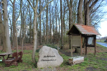 Freilichtbühne Holtebüttel Freilichtbühne mit rustikalen Holzbänken und einem Stein, umgeben von einem lichten Wald.
