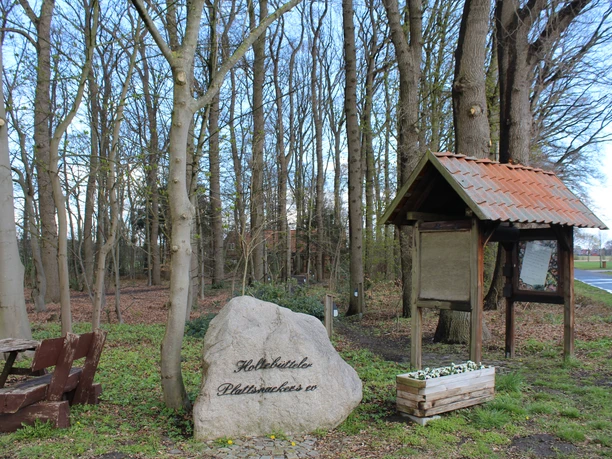 Freilichtbühne Holtebüttel Freilichtbühne mit rustikalen Holzbänken und einem Stein, umgeben von einem lichten Wald.