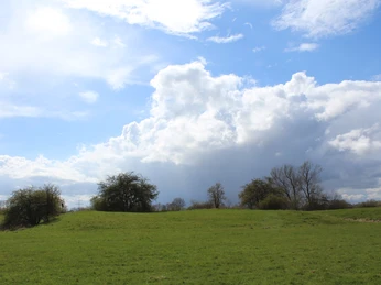 Turmhügelburg Hagen-Grinden Weite grüne Wiesen unter einem dramatischen Wolkenhimmel, vereinzelt stehen blätterlose Bäume.