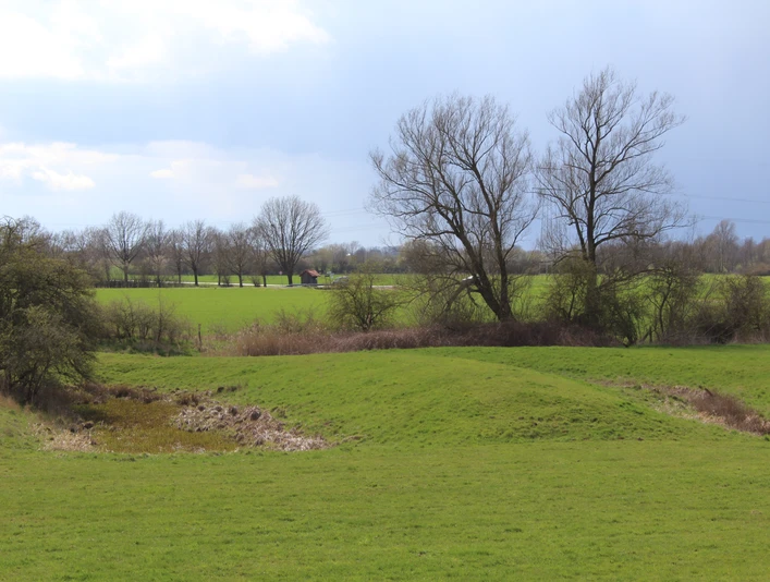 Turmhügelburg Hagen-Grinden, umgeben von grüner Landschaft und kargen Bäumen unter bewölktem Himmel.