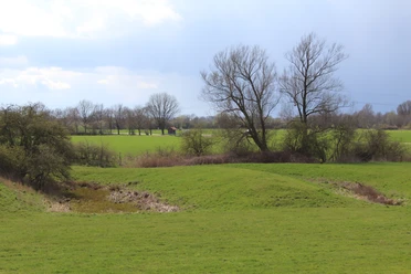 Turmhügelburg Hagen-Grinden Turmhügelburg Hagen-Grinden, umgeben von grüner Landschaft und kargen Bäumen unter bewölktem Himmel.