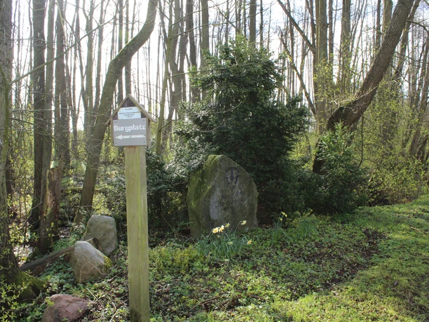 Gedenkstein in einem lichten Waldstück, umgeben von Bäumen und Natur, nahe Wietzen positioniert.