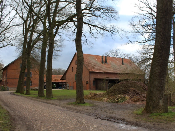 Rittergut Varste Ein historisches Backsteingebäude mit rotem Ziegeldach ist von hohen Bäumen umgeben.