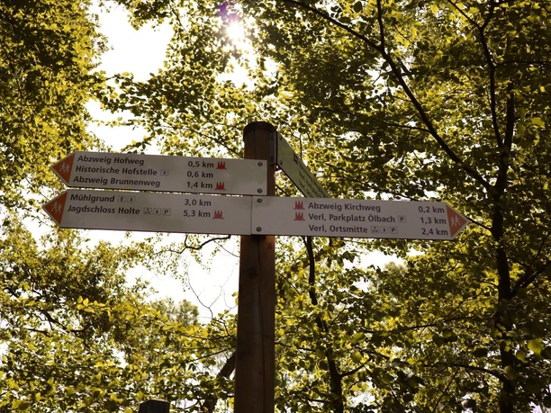 Hofweg | Wegweiser Ein Holzpfosten mit mehreren Wegweisern zeigt verschiedene Wanderziele im dichten, grünen Wald an.
