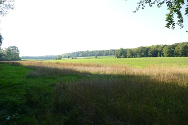 Erlebnissteinbruch Hainholz.jpeg