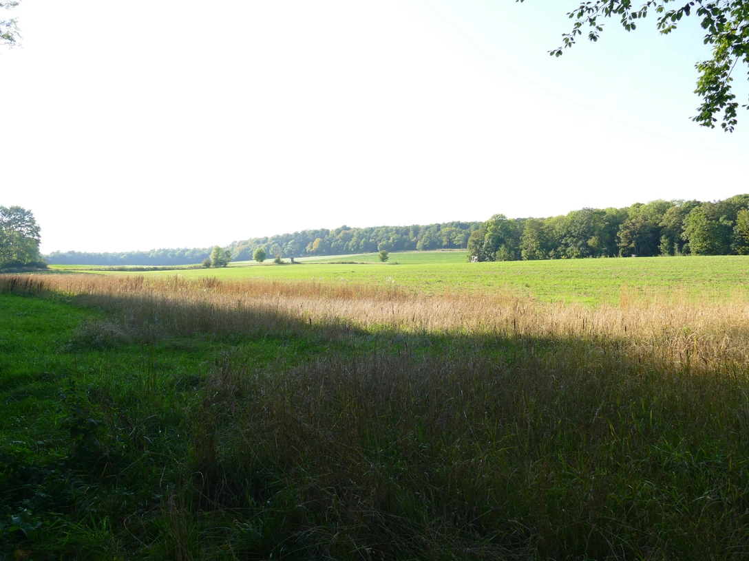 Erlebnissteinbruch Hainholz.jpeg