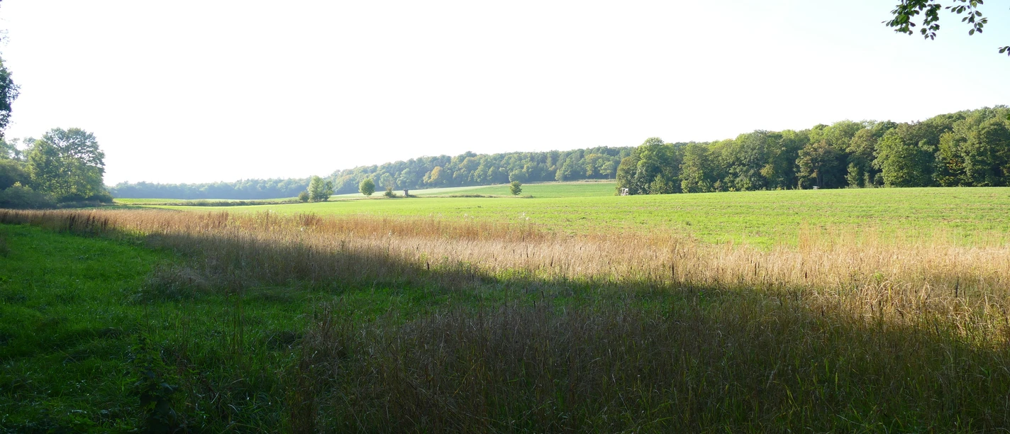 Erlebnissteinbruch Hainholz.jpeg