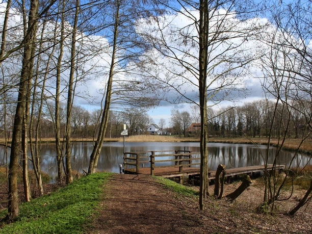 Ein ruhiger Teich im Böttchers Moor mit Holzstegen, umgeben von kargen Bäumen unter blauem Himmel.