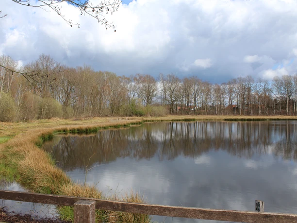 A calm lake with overgrown shores, surrounded by bare trees, under a cloudy sky.