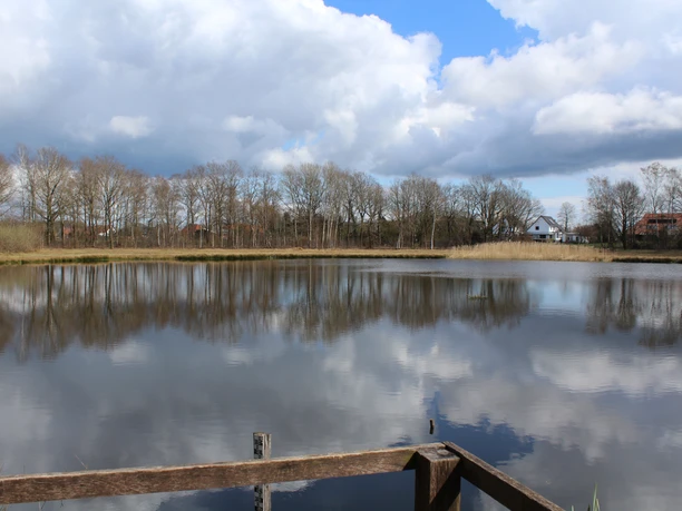 Ein ruhiger Teich mit Spiegelung von Bäumen und Wolken, umgeben von kahlen Bäumen am Horizont.