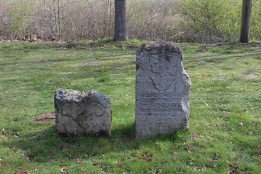 Zwei historische Snedensteine aus Stein ragen aus einer grünen Wiese, umgeben von Bäumen.