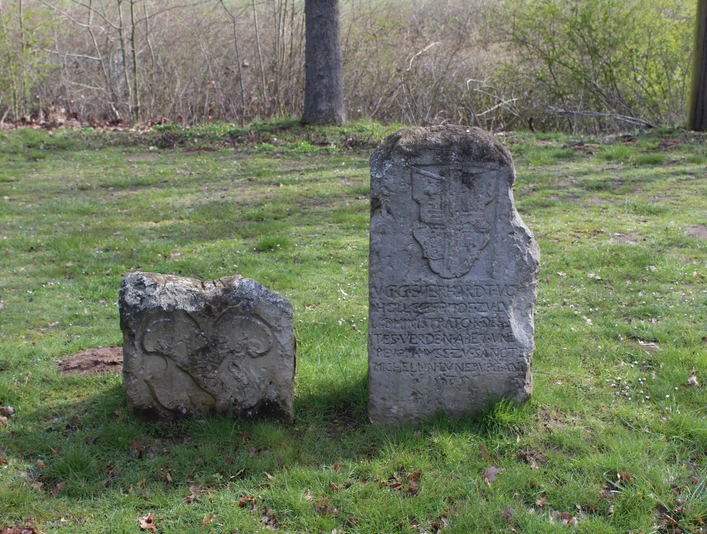 Snedensteine Hülsen Zwei historische Snedensteine aus Stein ragen aus einer grünen Wiese, umgeben von Bäumen.
