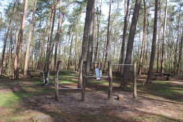 Waldspielplatz Dörverden Ein Waldspielplatz in Dörverden mit turnbaren Holzgeräten zwischen hohen, schlanken Kiefern.