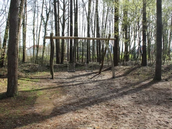 Ein Waldspielplatz mit Schaukel inmitten hoher Bäume und natürlichem Boden im ruhigen Waldgebiet.