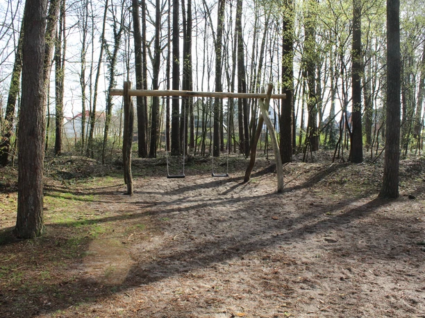 Ein Waldspielplatz mit Schaukel inmitten hoher Bäume und natürlichem Boden im ruhigen Waldgebiet.