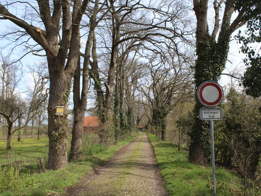 Gut Donnerhorst Eichenallee mit Kopfsteinpflasterstraße, umgeben von grüner Natur und einem roten Ziegeldach im Hintergrund.