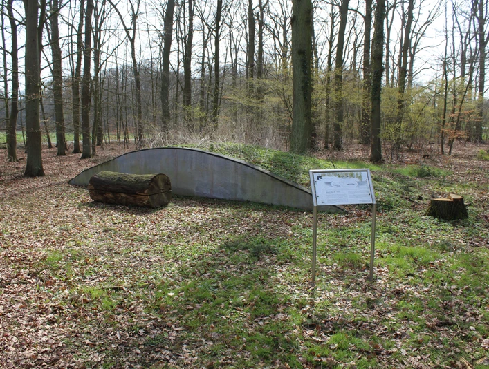 Hügelgrab Diensthop Ein überwachsener Hügel im Wald, beschrifteter Infostand und Baumstammbank im Vordergrund.