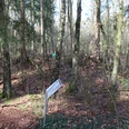 Laubwald im Winter mit Hinweisschild im Vordergrund; alte Erdbefestigung im Hintergrund erkennbar.