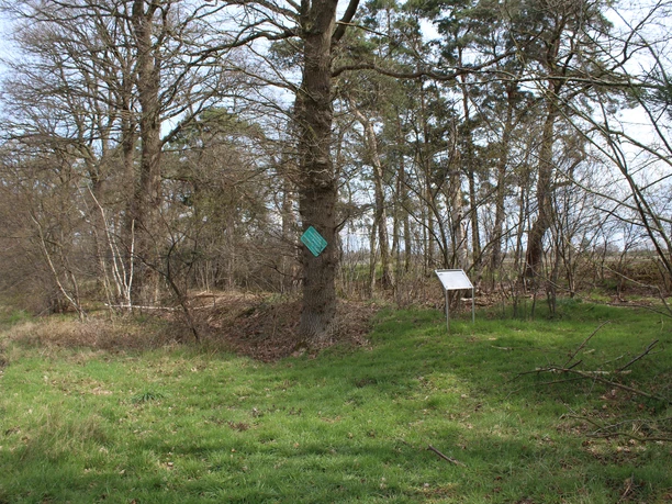 Landwehr bei Hülsen Grün bewachsene Uferlandschaft bei Hülsen mit Infotafeln, umgeben von Laubbäumen und Wiesen.