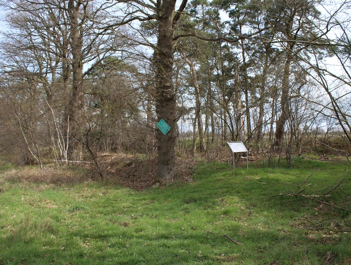Landwehr bei Hülsen Grün bewachsene Uferlandschaft bei Hülsen mit Infotafeln, umgeben von Laubbäumen und Wiesen.
