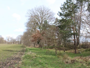 Landwehr bei Hülsen Waldweg an der Landwehr bei Hülsen, umgeben von Bäumen und einem angrenzenden Feld bei klarem Himmel.