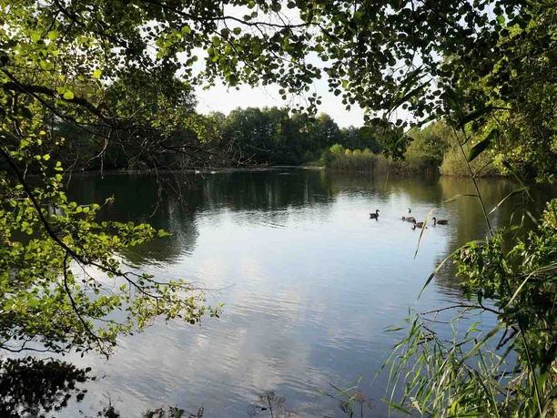 Hüttenseepark Meißendorf Ponds