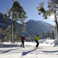 Langlaufen Farchant
