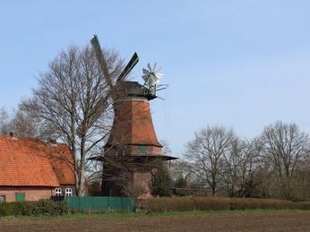 Windmühle mit rotem Backsteingebäude und grünen Flügeln, umgeben von Bäumen und weiten Feldern.