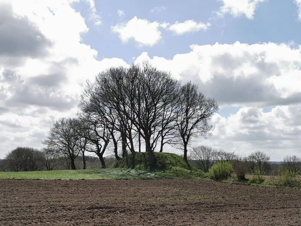 Grabhügel auf den Heilohkoppeln