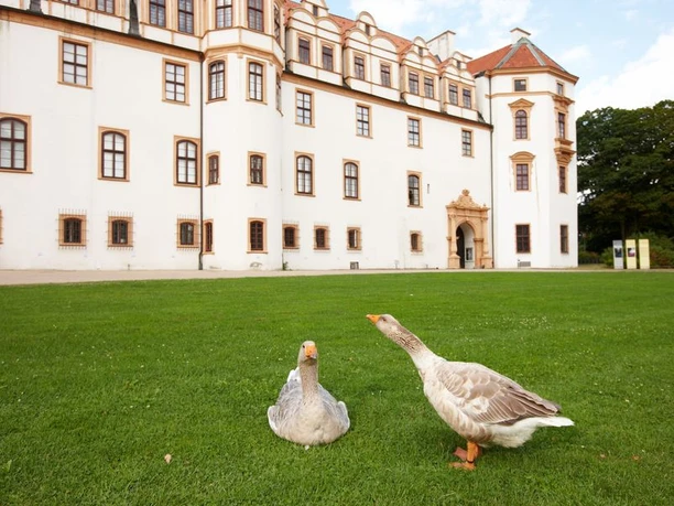 Herzogenschloss Celle Herzogenschloss Celle