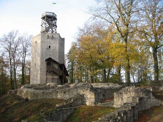 Lichtenberg.jpeg
