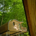 Baumhaus "Elvis" - Sonnenresort Ettershaus