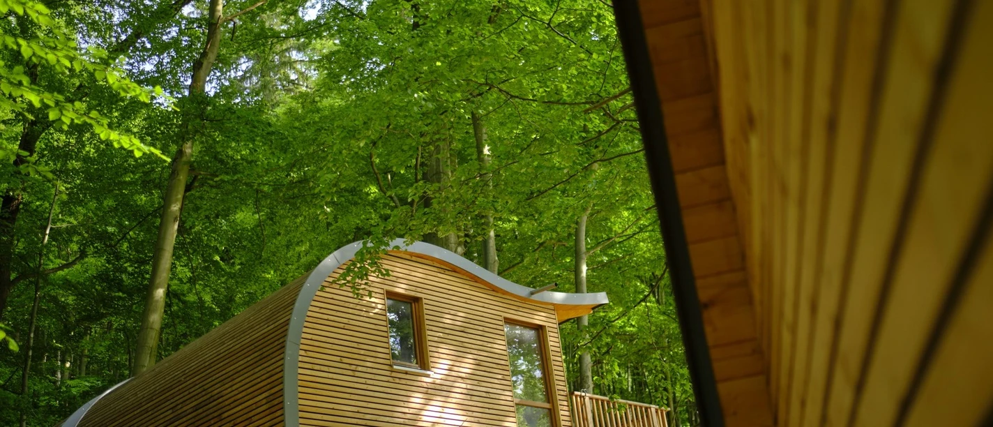 Sonnenresort-Ettershaus-Bad-Harzburg-Baumhaus-Elvis.jpg Baumhaus "Elvis" - Sonnenresort Ettershaus