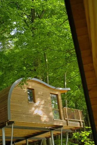 Sonnenresort-Ettershaus-Bad-Harzburg-Baumhaus-Elvis.jpg Baumhaus "Elvis" - Sonnenresort Ettershaus