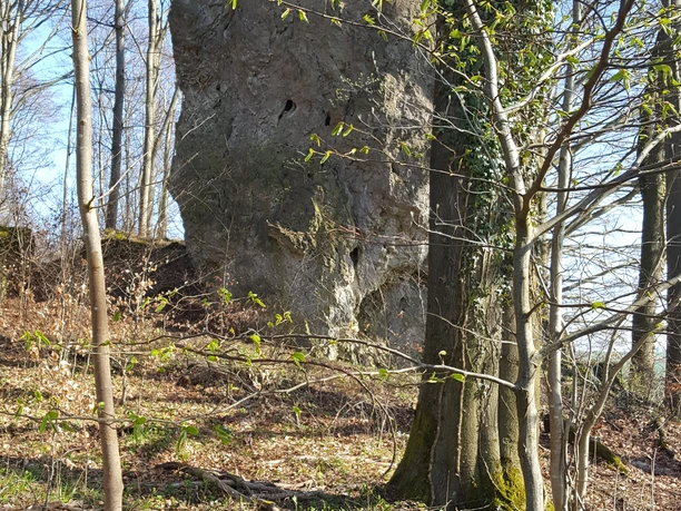 Klippe an der Südseite der Westersteine.jpg