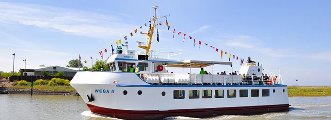 MS-Wega-2.PNG