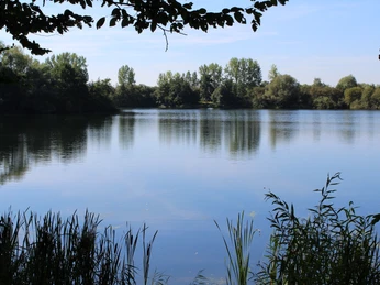 Am Haaken Werder Ein stiller See, von Bäumen umgeben, reflektiert den Himmel an einem sonnigen, klaren Tag.