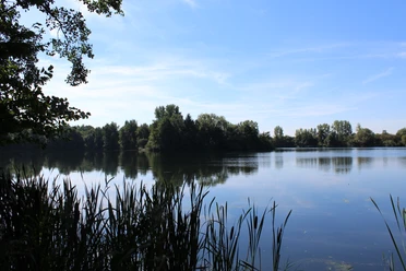 Ruhiger See umgeben von Bäumen, leicht bewölkter Himmel, im Vordergrund Schilfgras am Ufer.