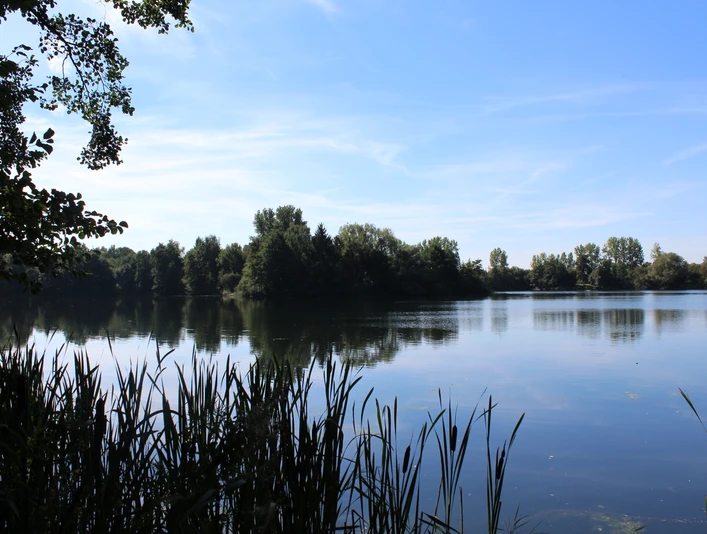 Ruhiger See umgeben von Bäumen, leicht bewölkter Himmel, im Vordergrund Schilfgras am Ufer.